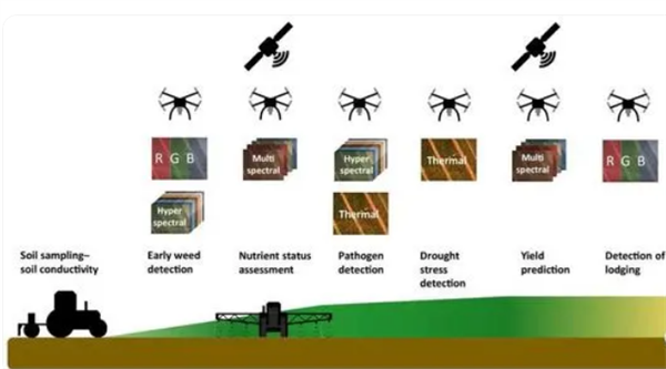 無人機高光譜遙感技術在精準農業(yè)領域的應用2