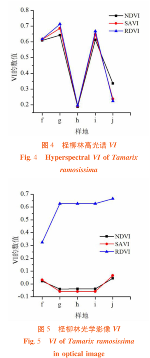 高光譜遙感在荒漠林植被指數(shù)（VI）比較中的應用4