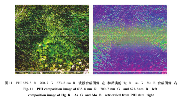 高光譜植物地球化學(xué)探測(cè)