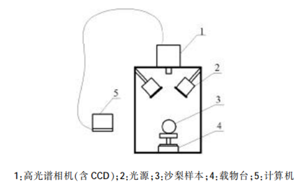 高光譜圖像技術在沙梨無損檢測中的應用