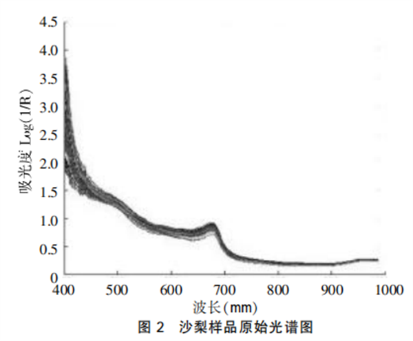 高光譜圖像技術在沙梨無損檢測中的應用2