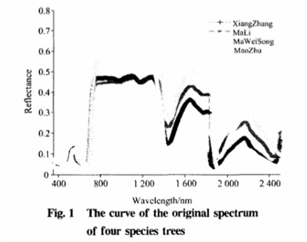 基于葉片高光譜特性分析的樹(shù)種識(shí)別方法