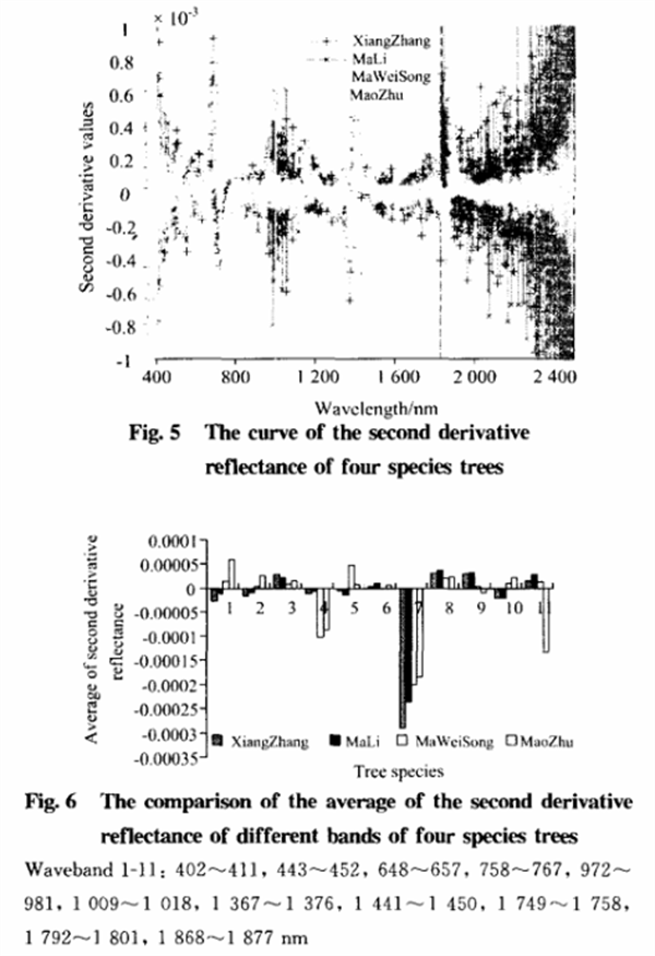 基于葉片高光譜特性分析的樹(shù)種識(shí)別方法5