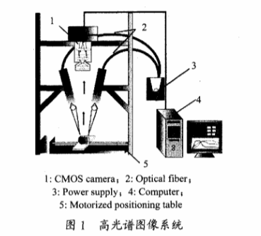 高光譜成像技術(shù)檢測柑橘果銹