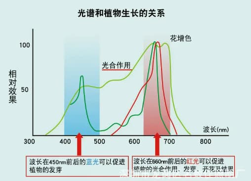 植被的光譜特性2